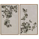 Botanical Study III 31 X 18.5 inch Nature